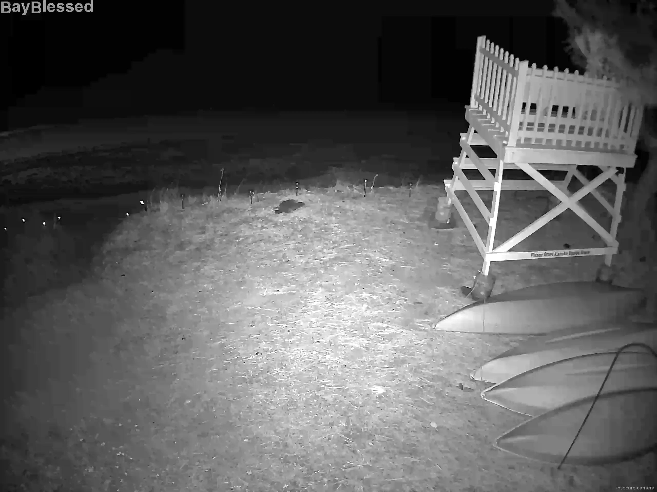 Capture from Feb 19, 2026 at 05:47 AM