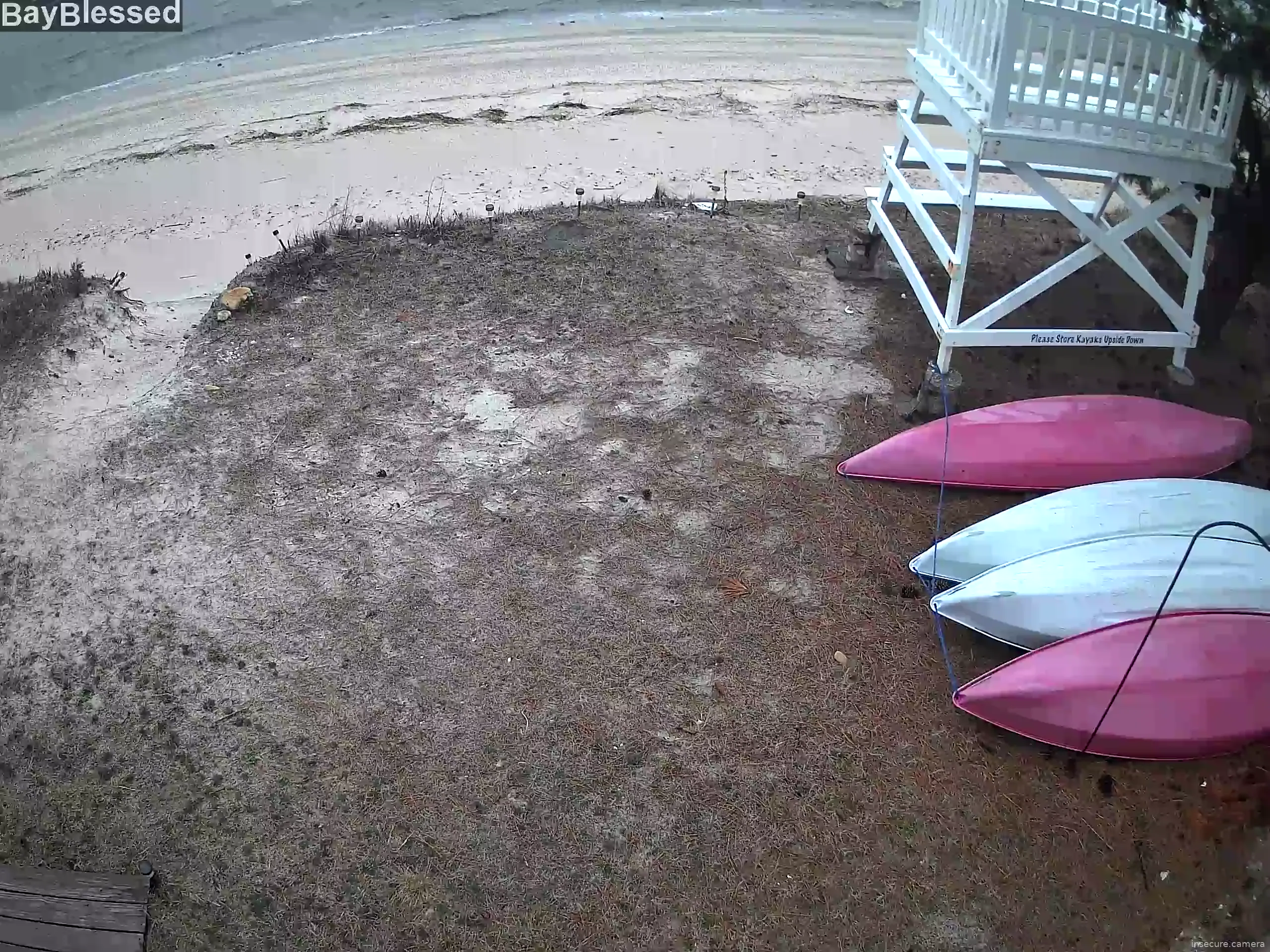 Capture from Mar 12, 2026 at 03:10 PM