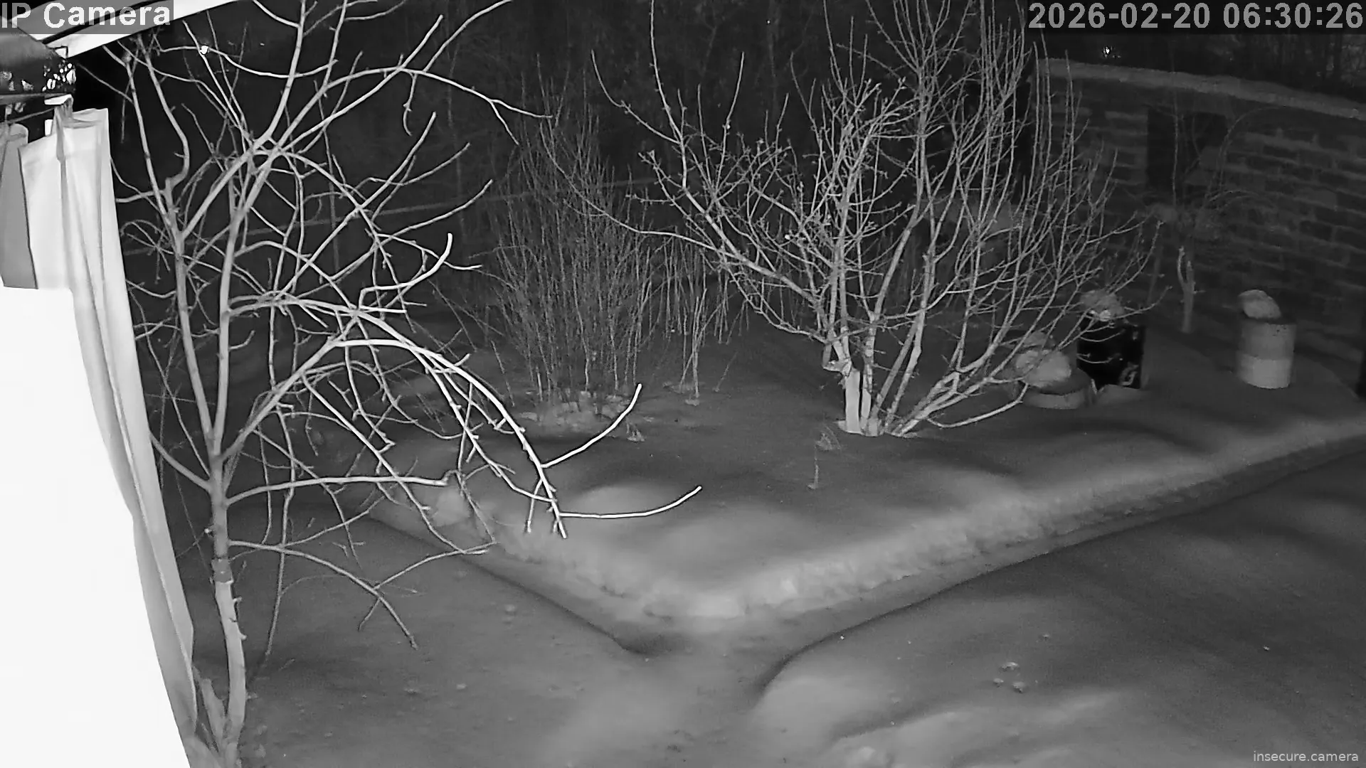 Capture from Feb 20, 2026 at 01:31 AM