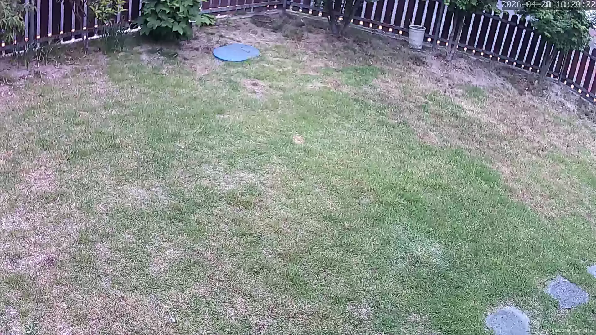 Camera in South Korea