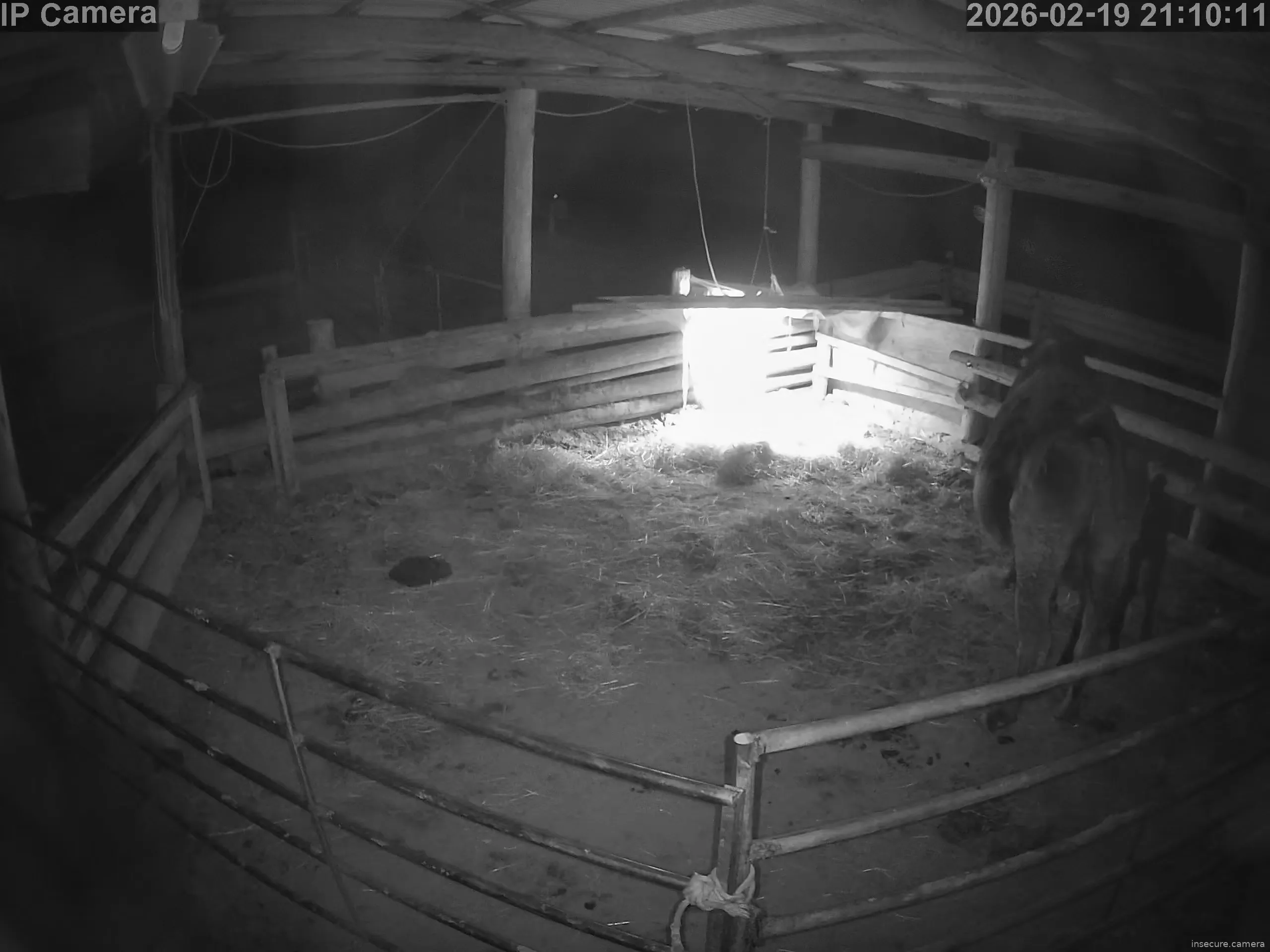 Capture from Feb 19, 2026 at 01:10 PM