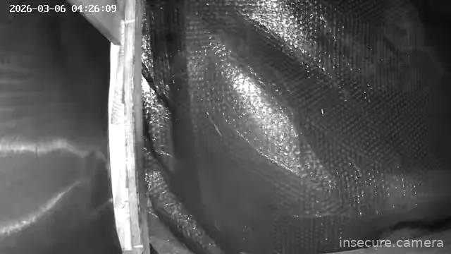 Capture from Mar 05, 2026 at 07:26 PM