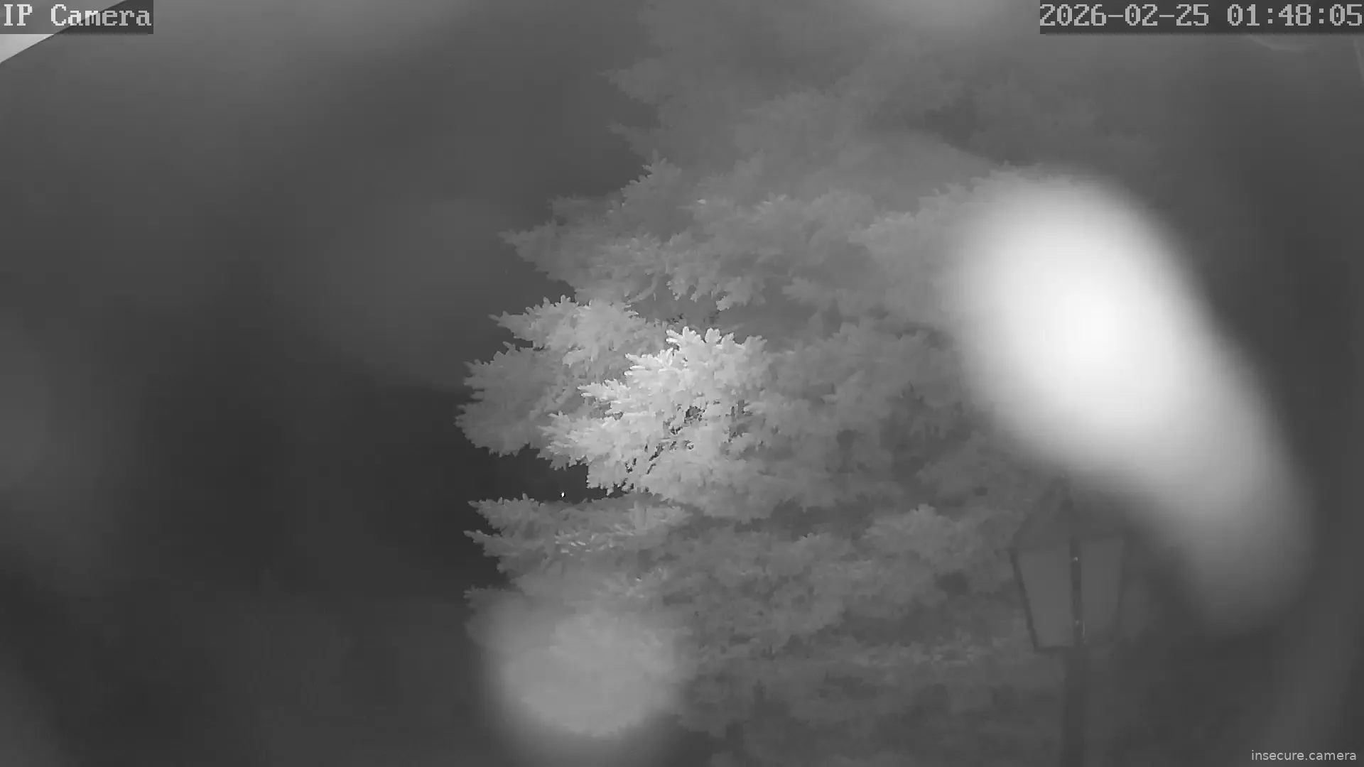 Capture from Feb 25, 2026 at 12:48 AM