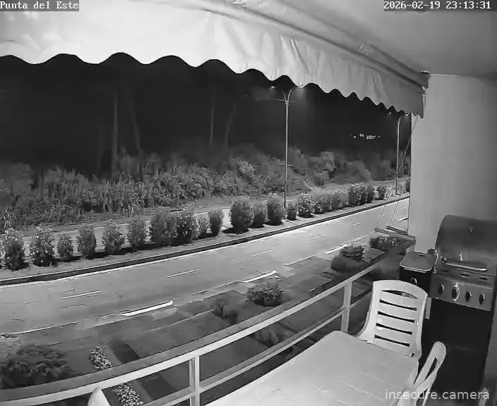 Capture from Feb 20, 2026 at 02:13 AM