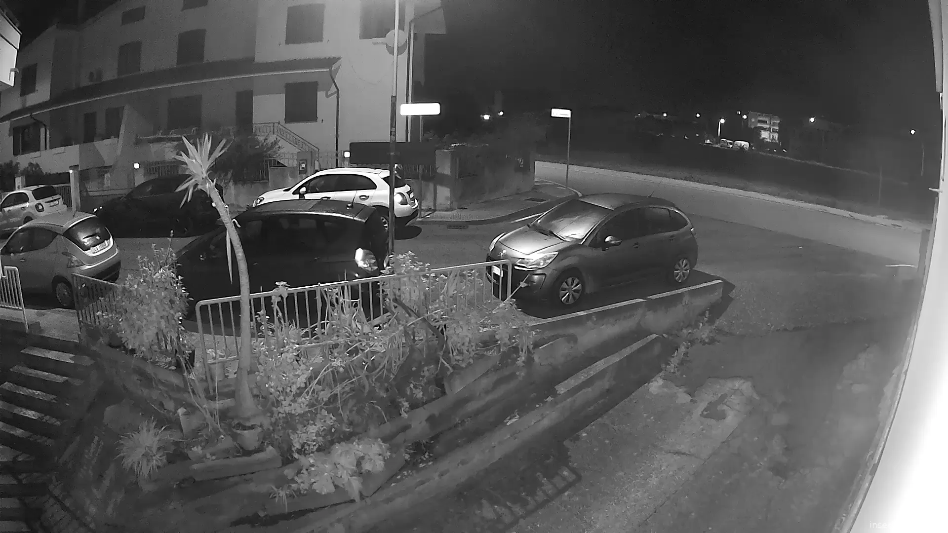 Capture from Feb 19, 2026 at 01:03 AM