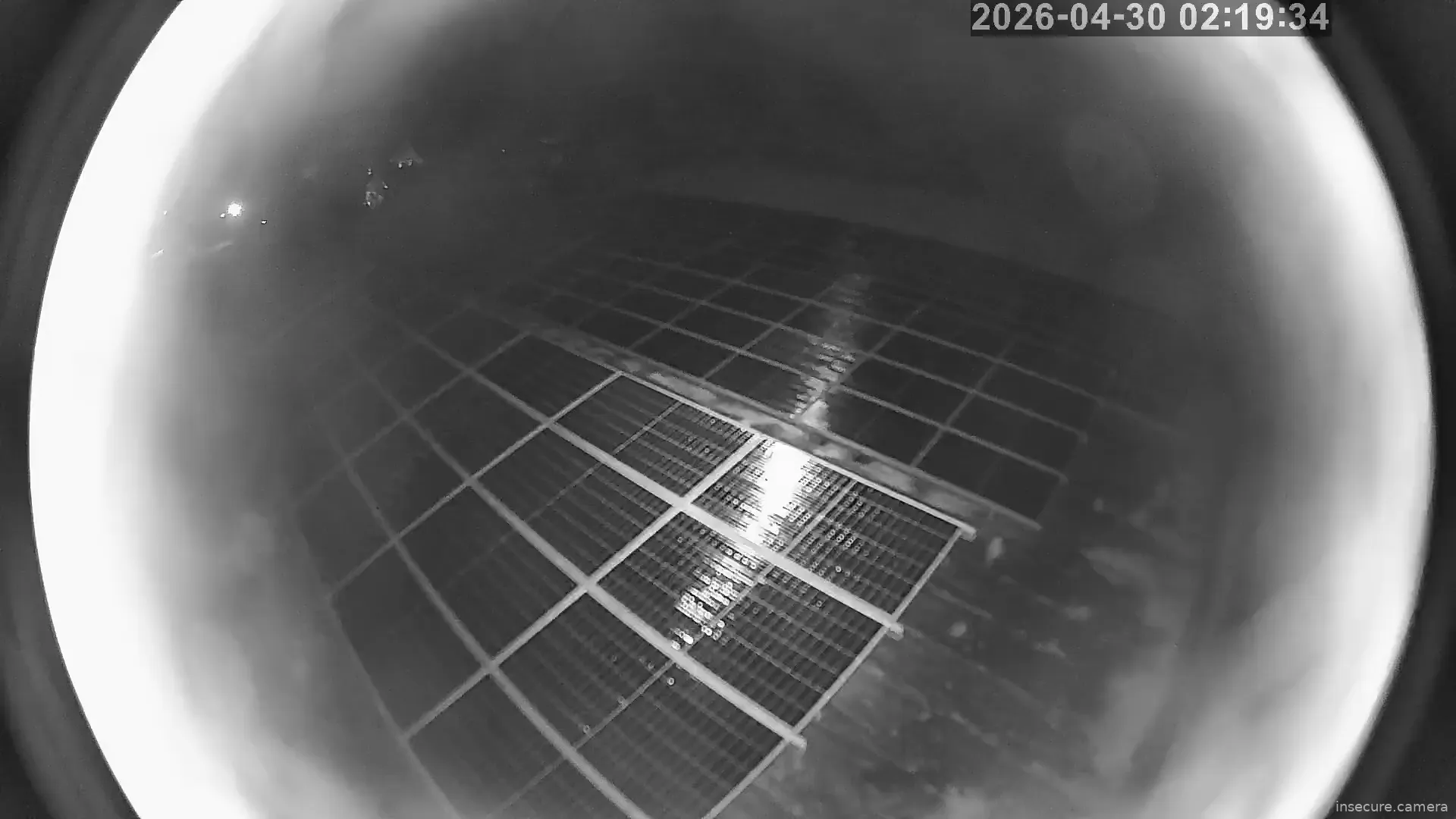 Capture from Apr 29, 2026 at 05:20 PM