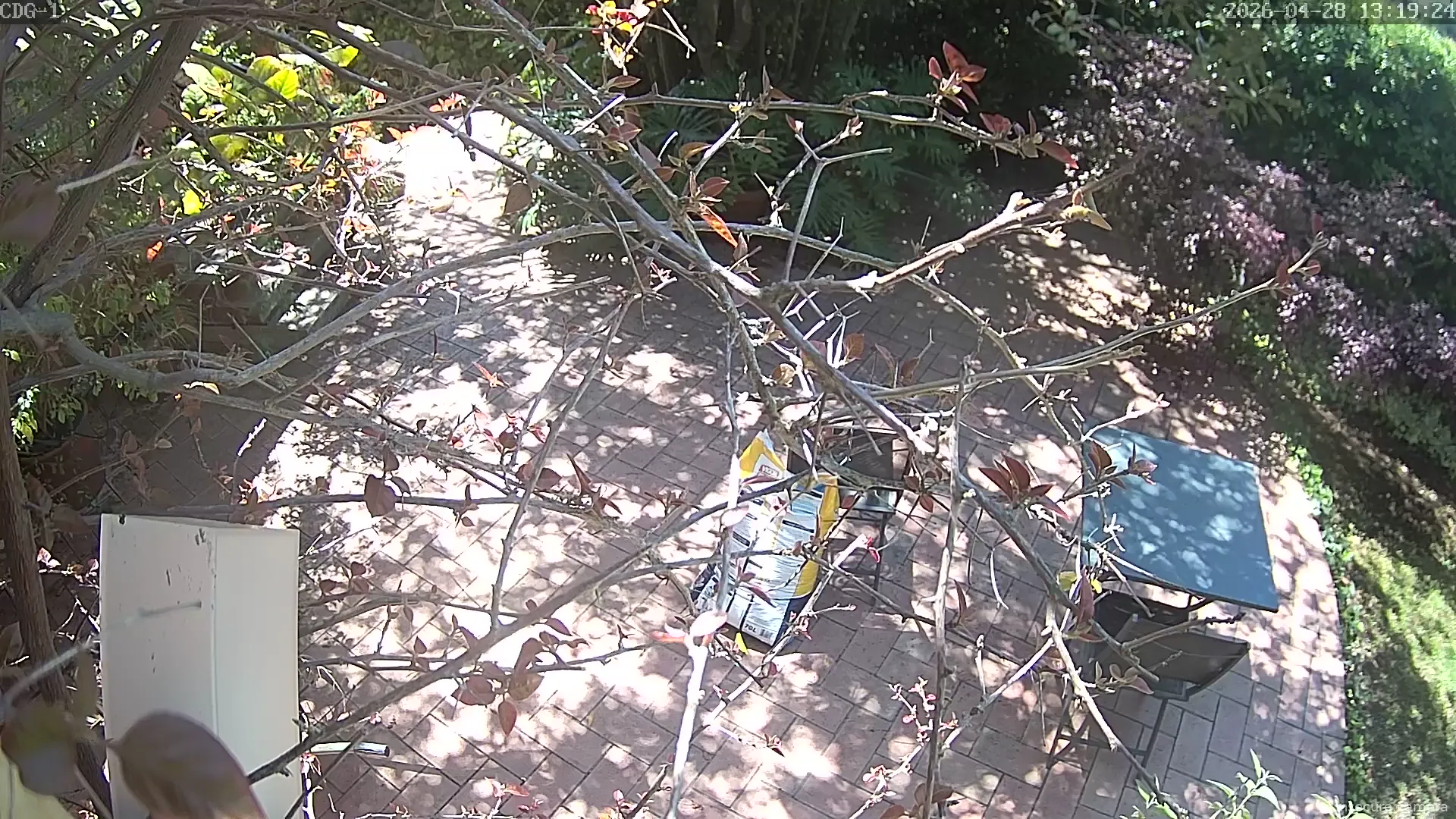 Capture from Apr 28, 2026 at 11:19 AM