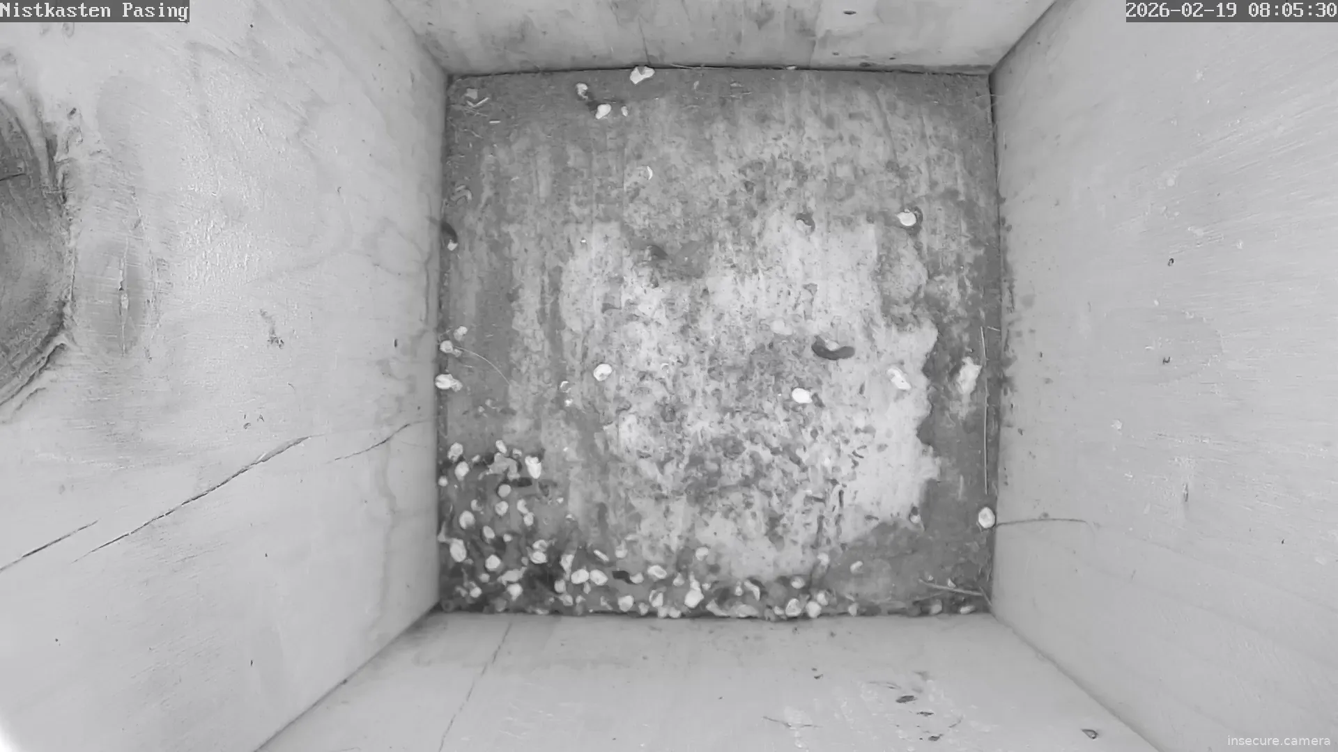 Capture from Feb 19, 2026 at 07:06 AM