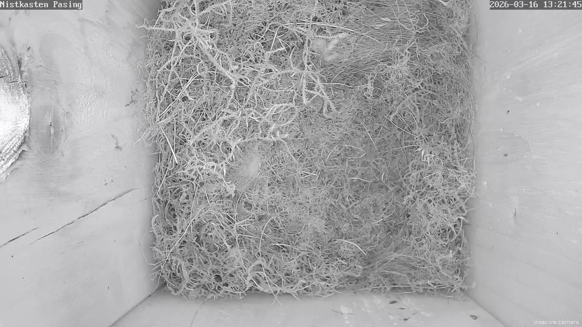 Capture from Mar 16, 2026 at 12:22 PM