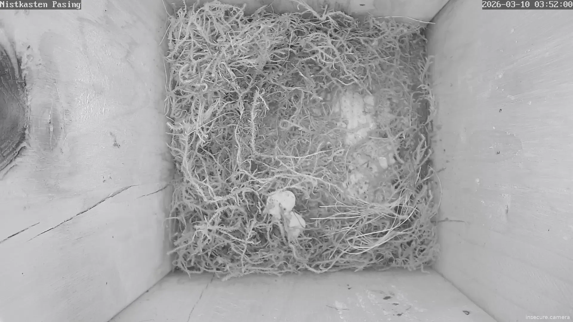 Capture from Mar 10, 2026 at 02:52 AM