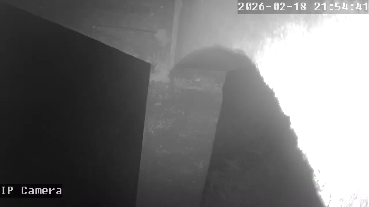 Capture from Feb 19, 2026 at 12:55 AM