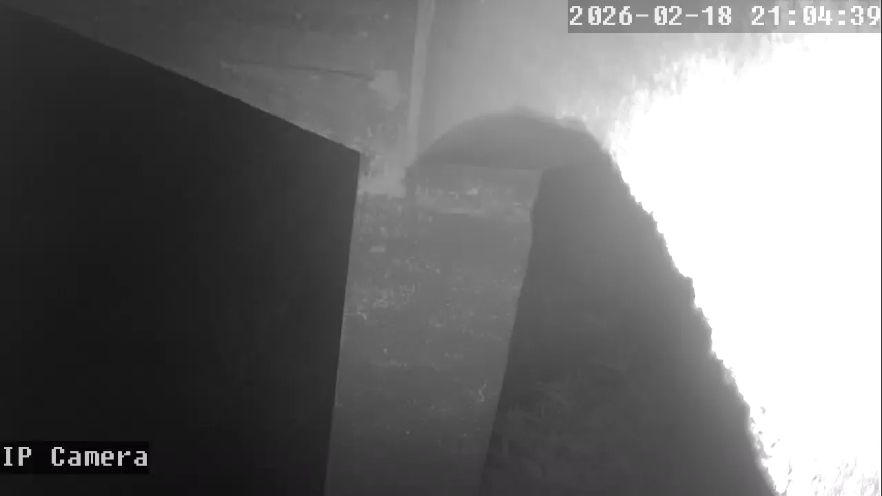 Capture from Feb 19, 2026 at 12:05 AM