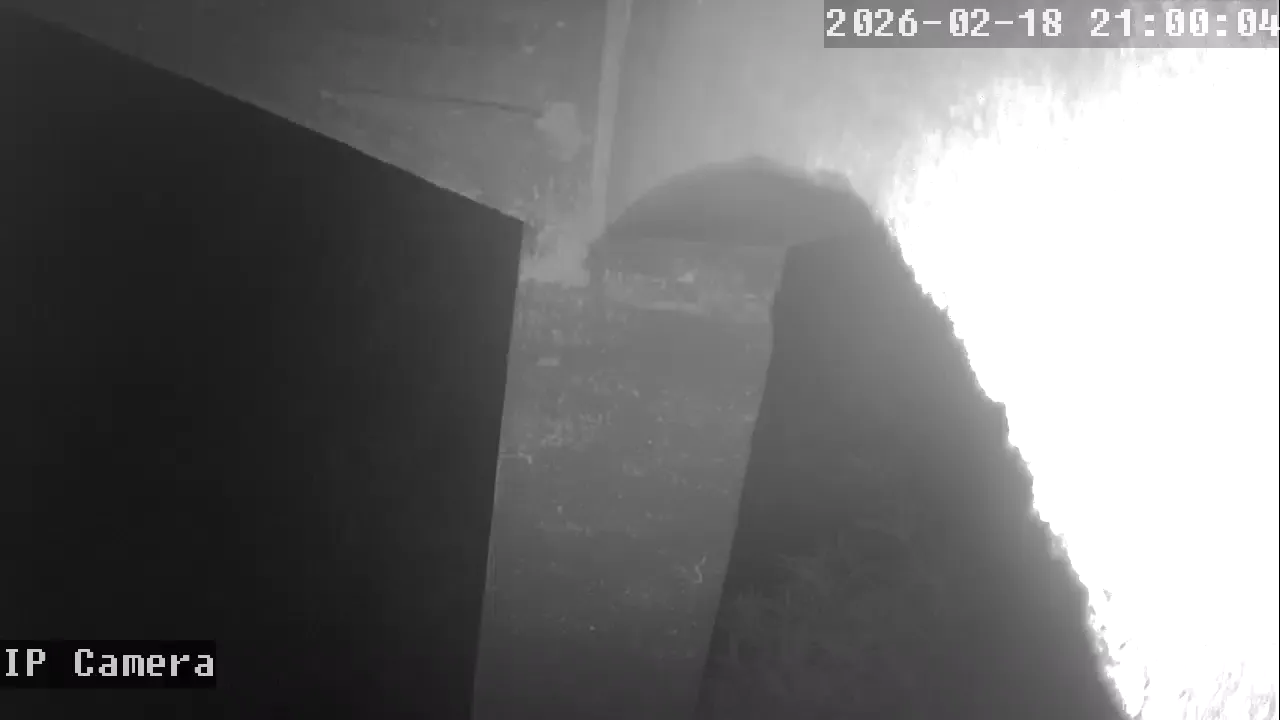 Capture from Feb 19, 2026 at 12:00 AM