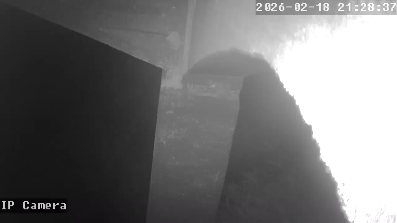 Capture from Feb 19, 2026 at 12:29 AM