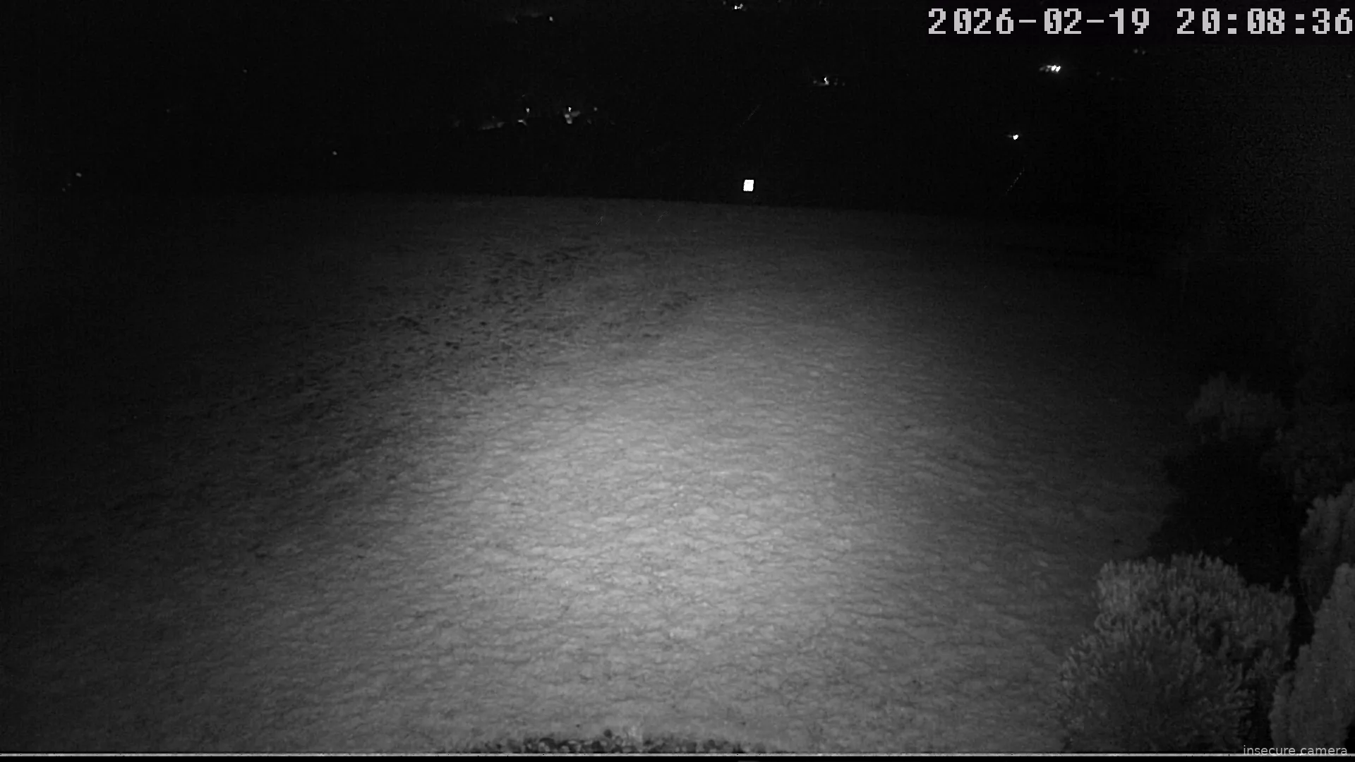 Capture from Feb 19, 2026 at 07:09 PM