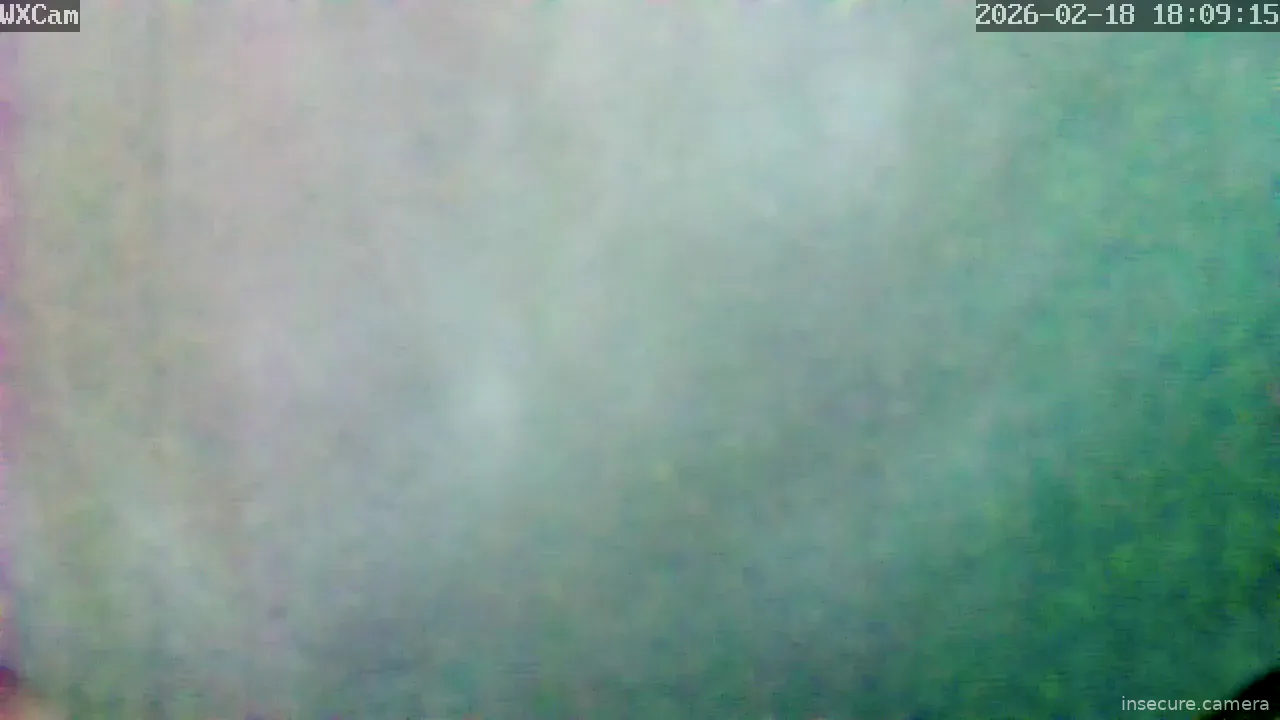 Capture from Feb 19, 2026 at 01:09 AM