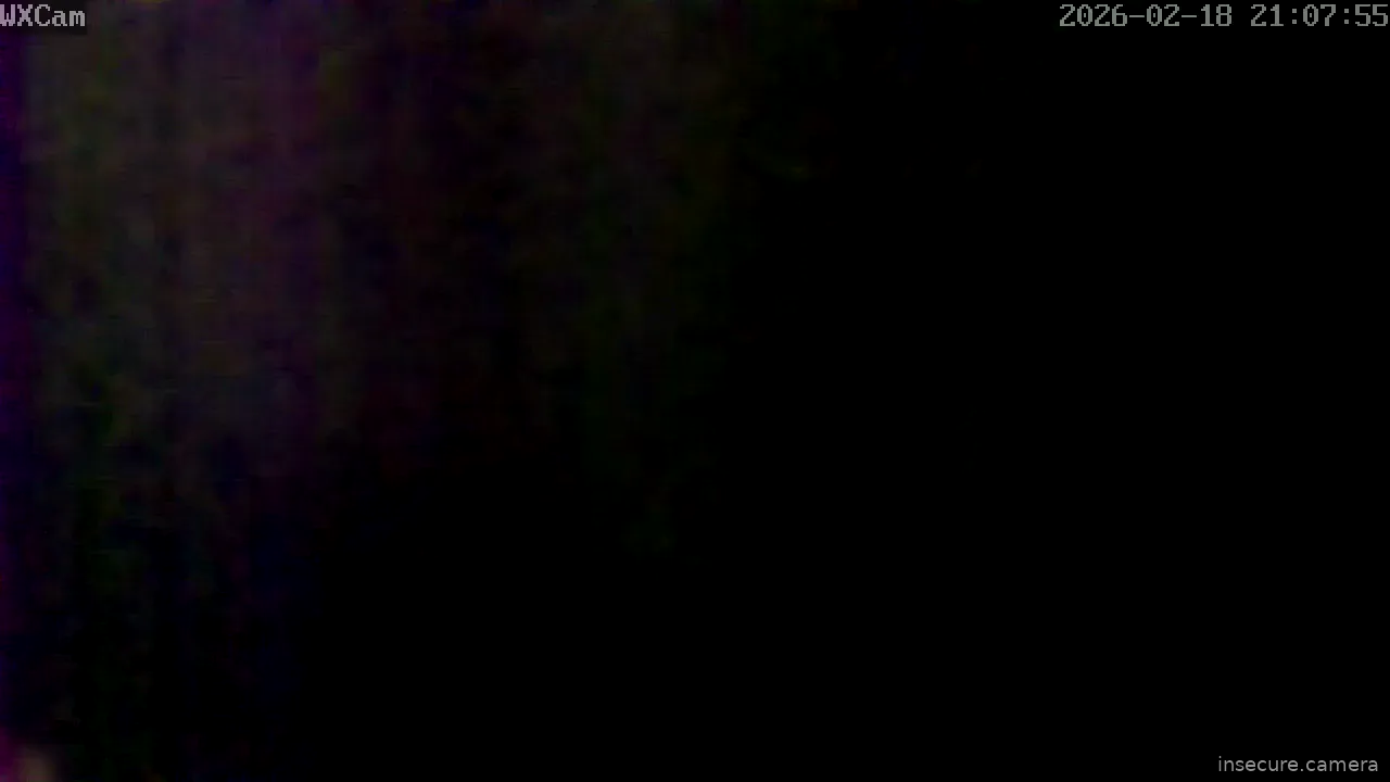 Capture from Feb 19, 2026 at 04:08 AM