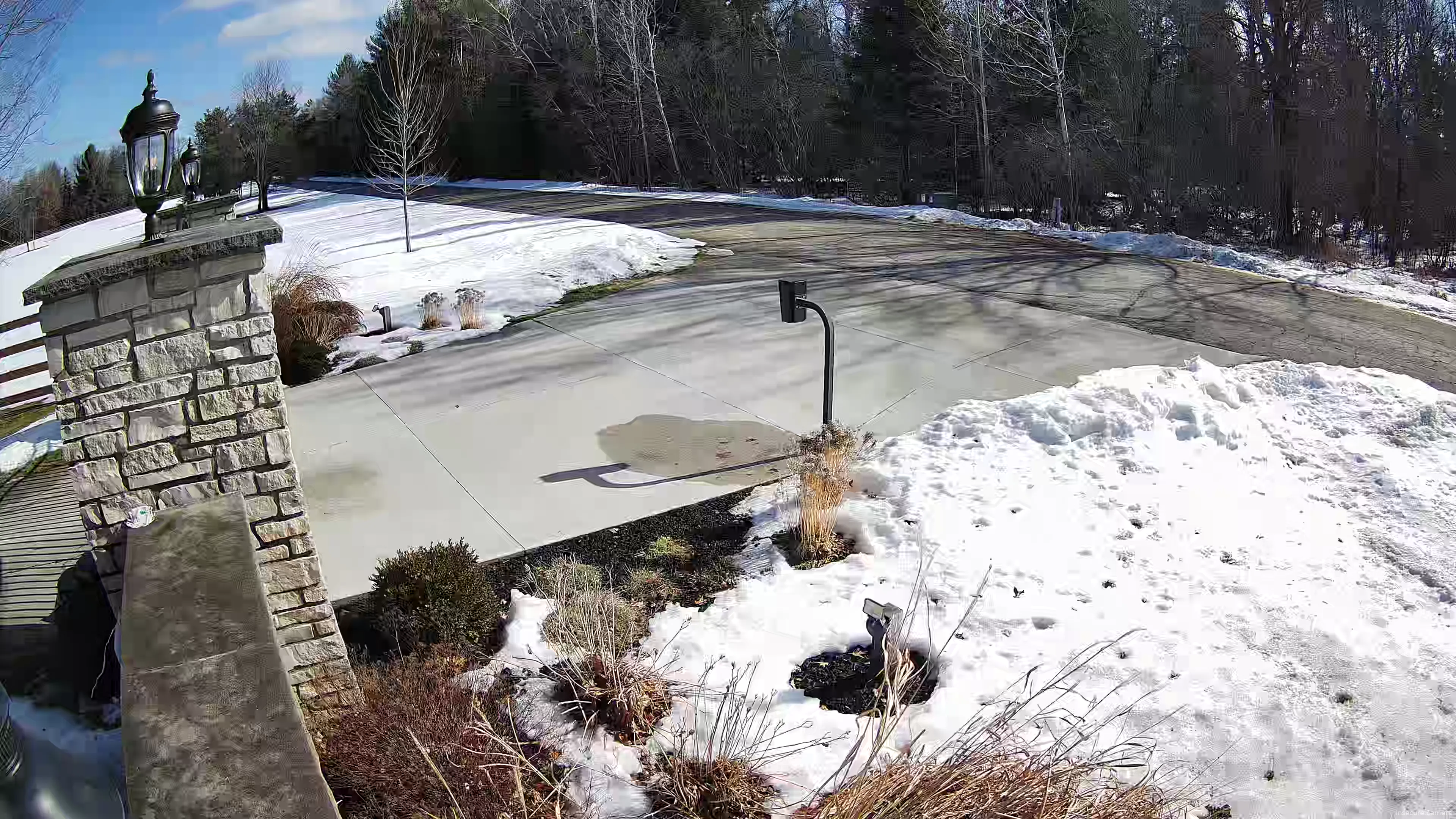 Capture from Feb 19, 2026 at 06:54 PM