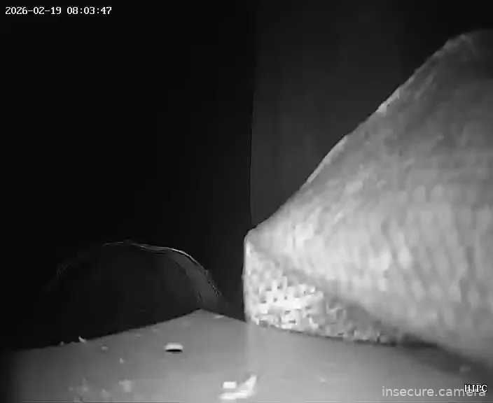 Capture from Feb 19, 2026 at 01:04 AM