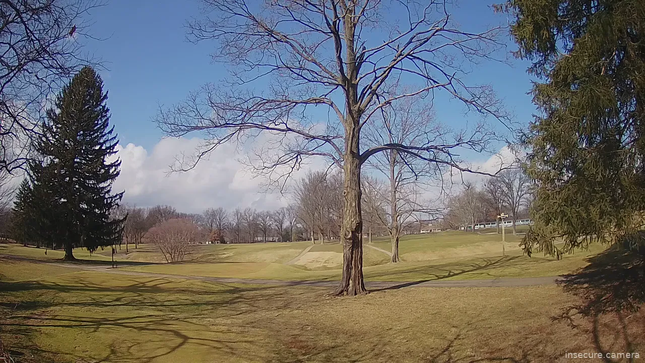 Capture from Feb 19, 2026 at 07:08 PM