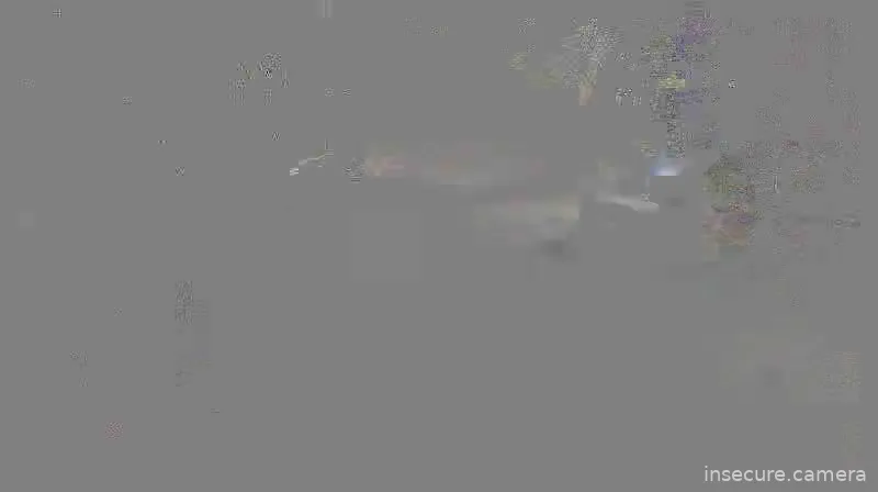 Camera in Vietnam