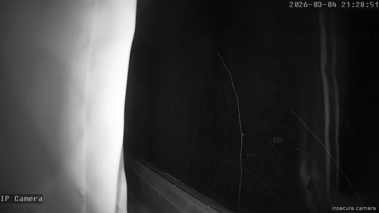 Capture from Mar 05, 2026 at 06:29 AM