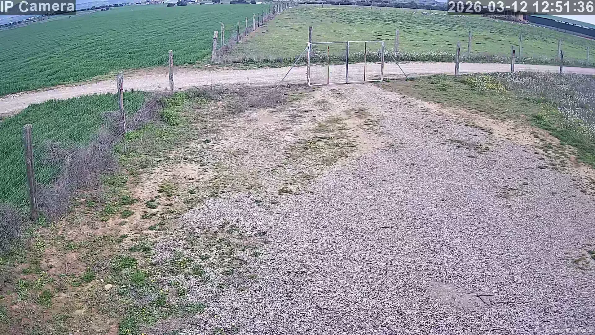 Capture from Mar 12, 2026 at 11:51 AM