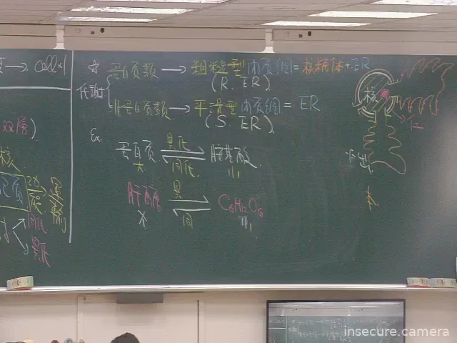 Capture from Mar 13, 2026 at 11:21 AM