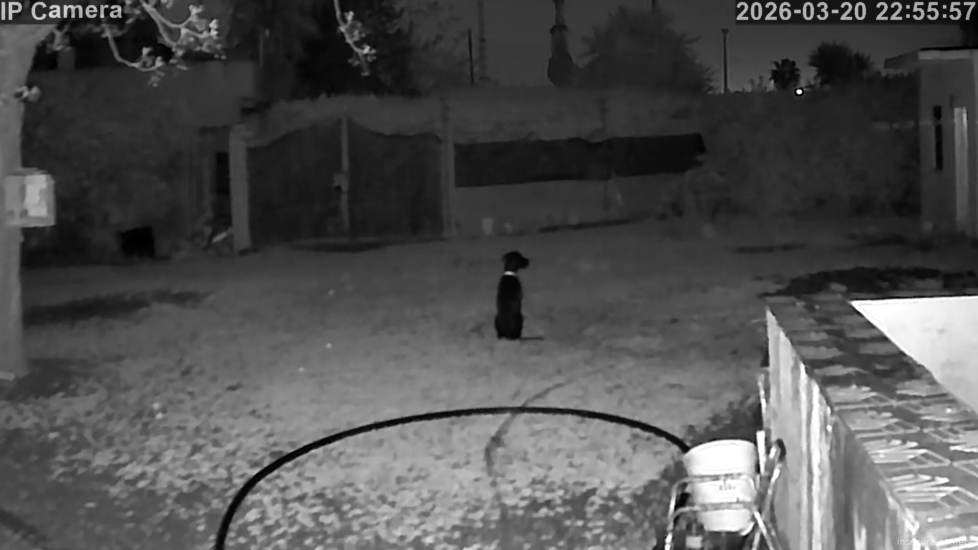 Capture from Mar 20, 2026 at 09:56 PM