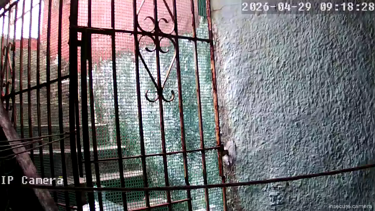 Camera in Argentina