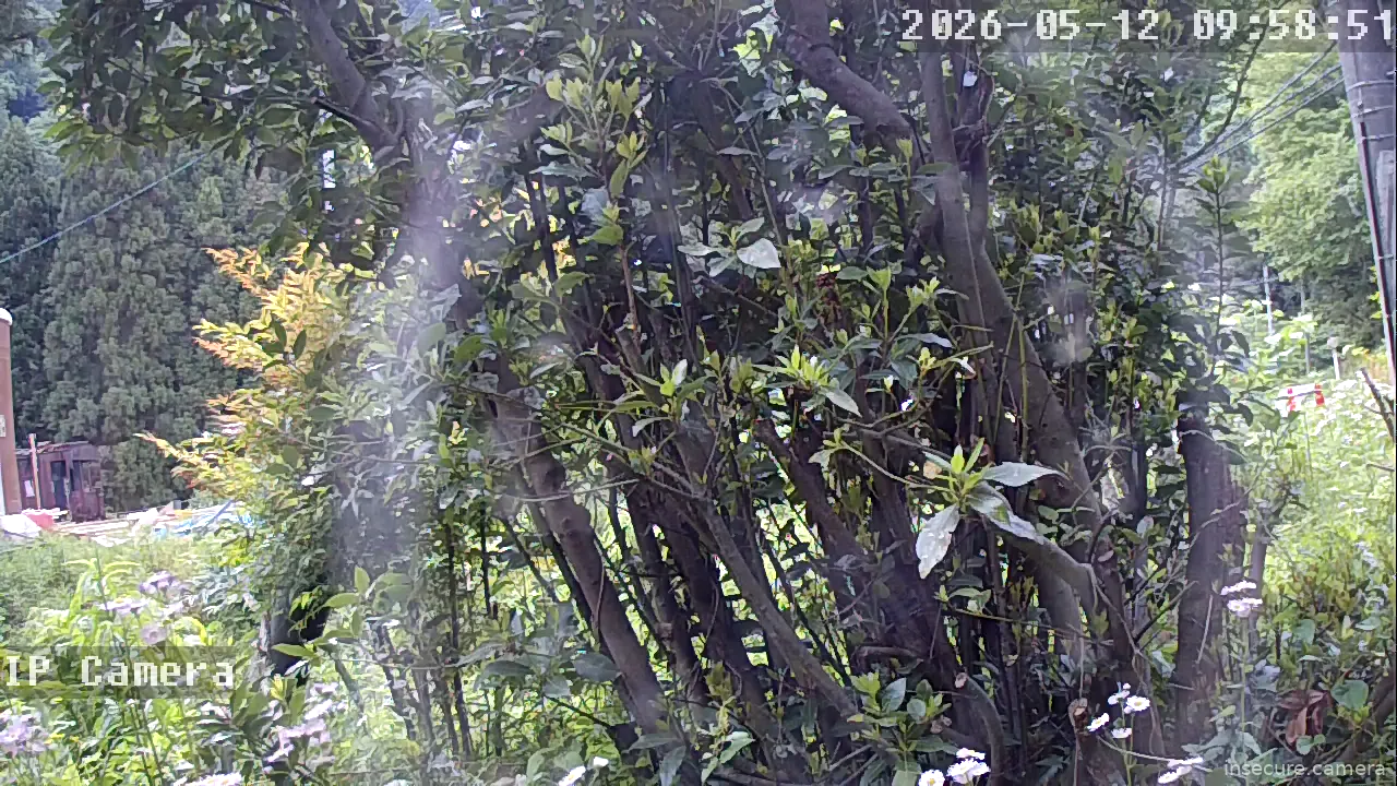 Capture from May 12, 2026 at 12:59 AM