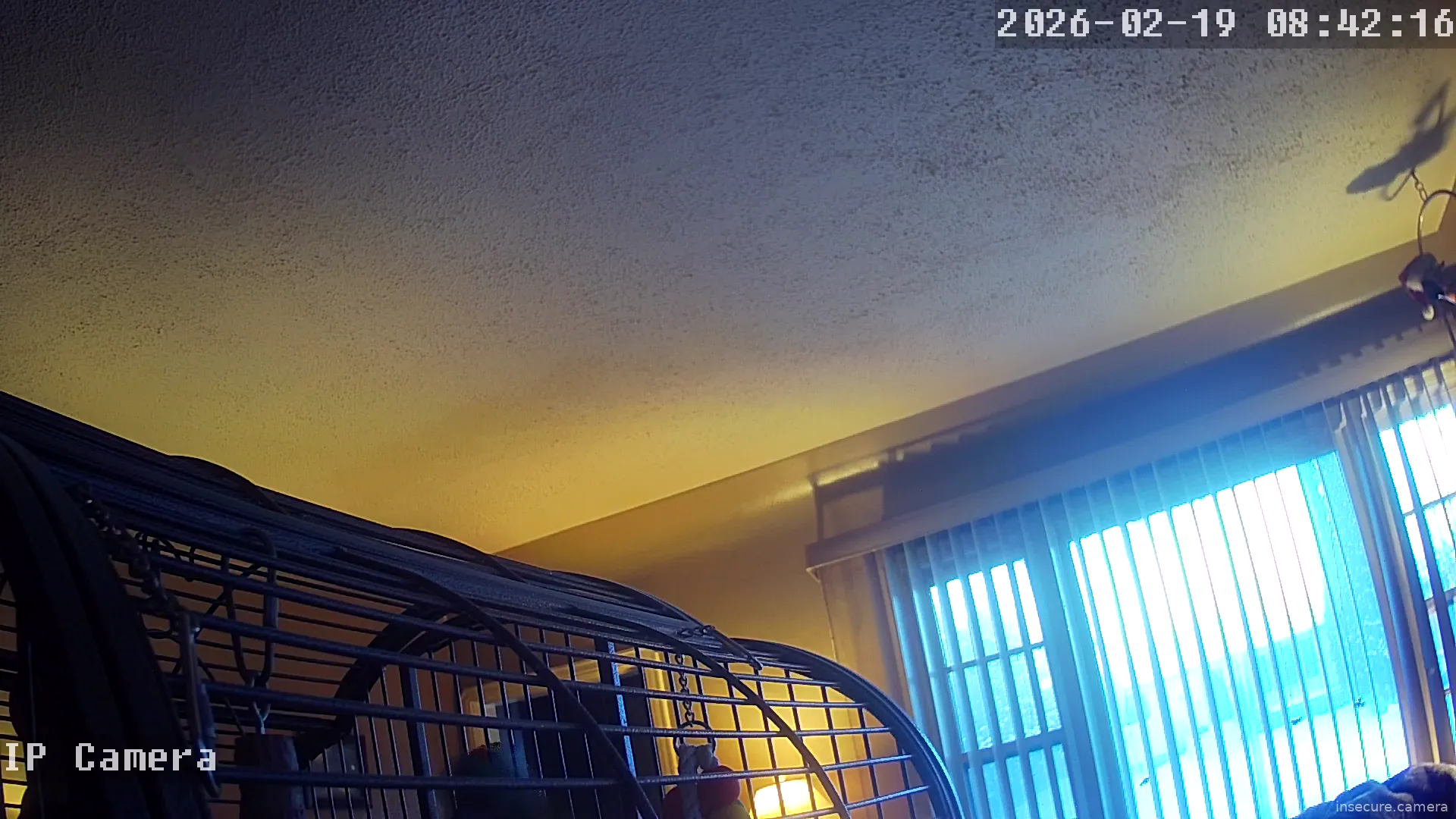 Capture from Feb 19, 2026 at 12:43 AM