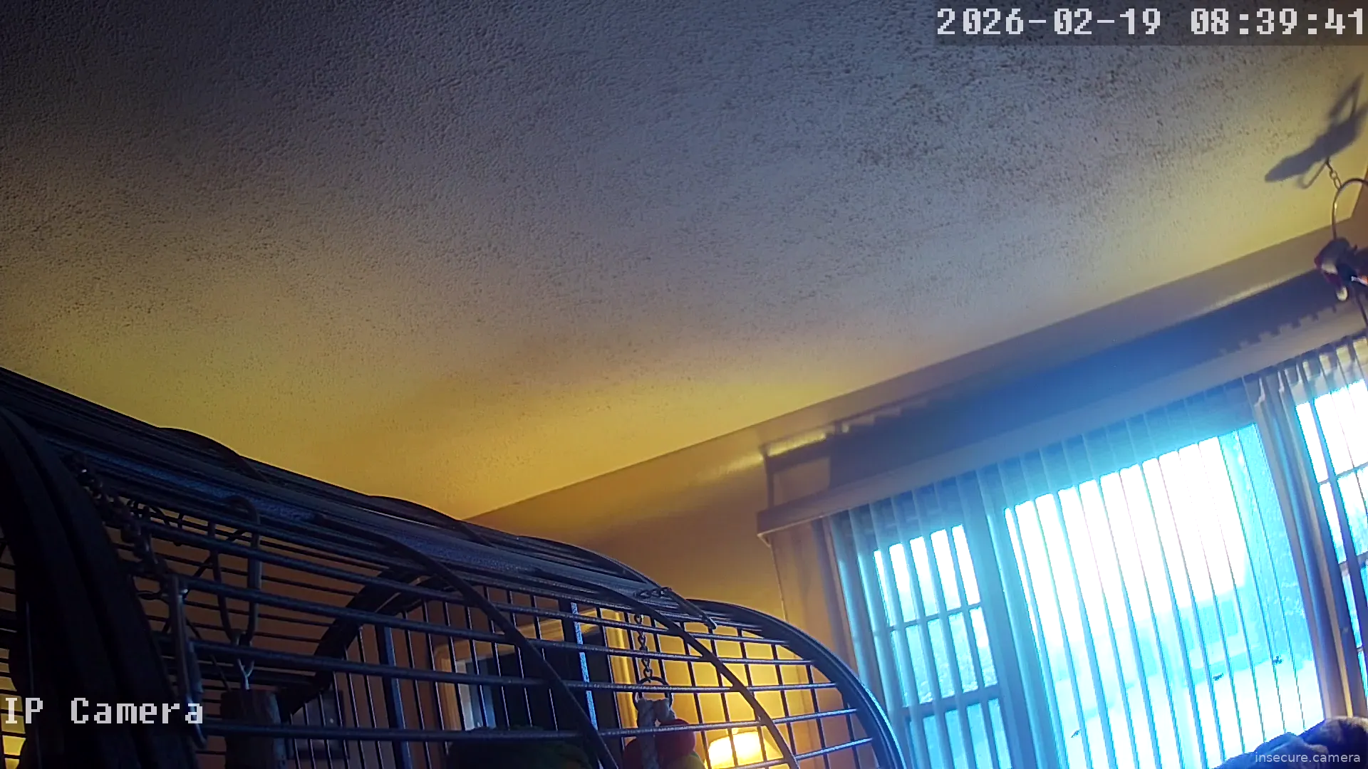 Capture from Feb 19, 2026 at 12:40 AM