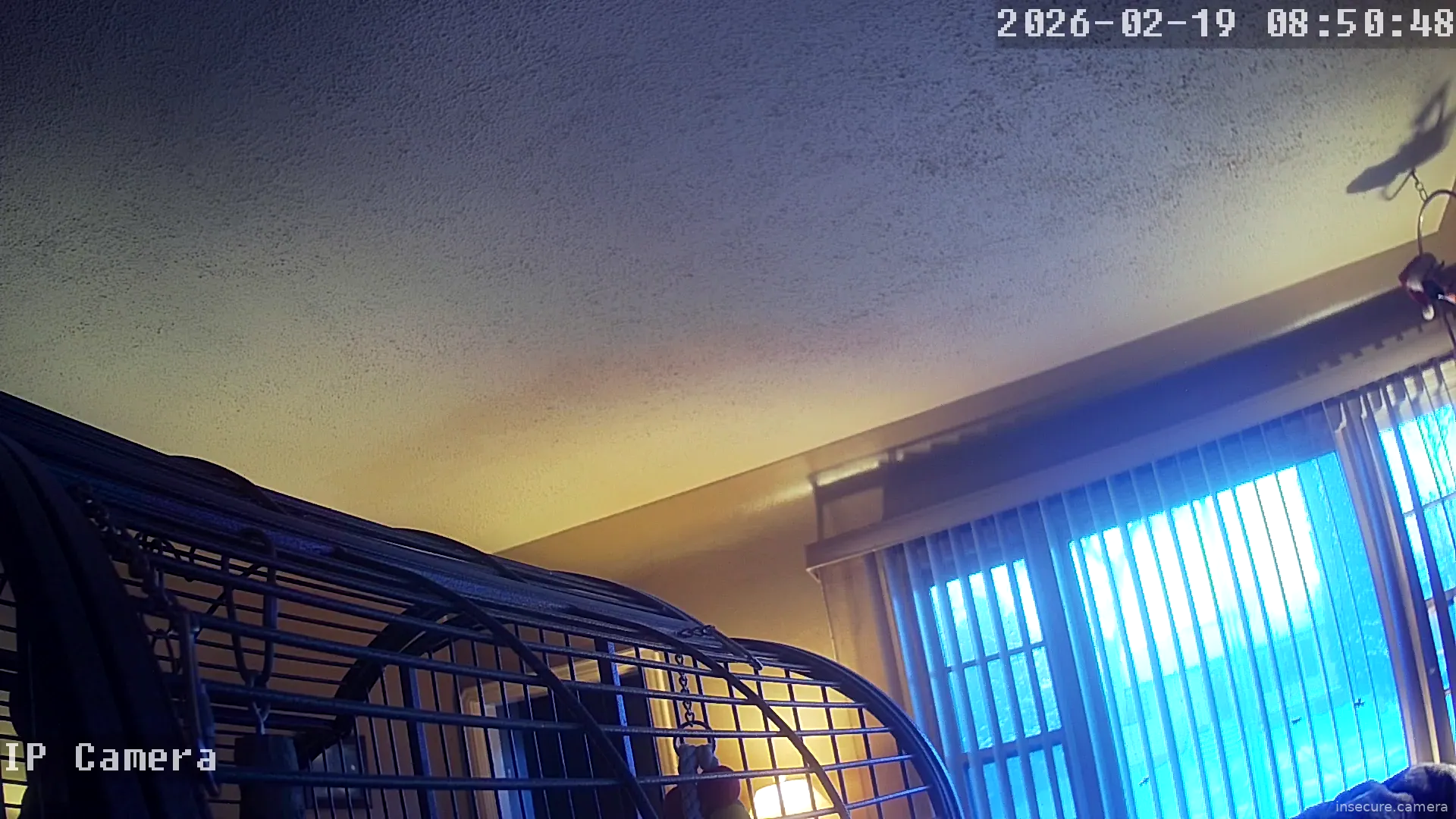 Capture from Feb 19, 2026 at 12:51 AM