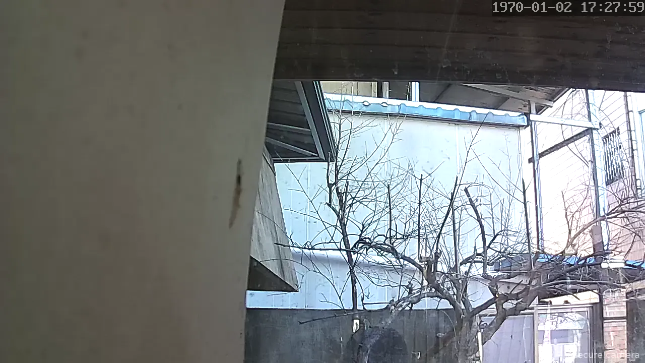 Capture from Feb 19, 2026 at 12:46 AM