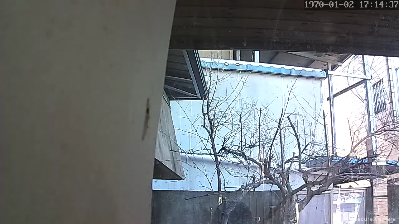 Capture from Feb 19, 2026 at 12:33 AM