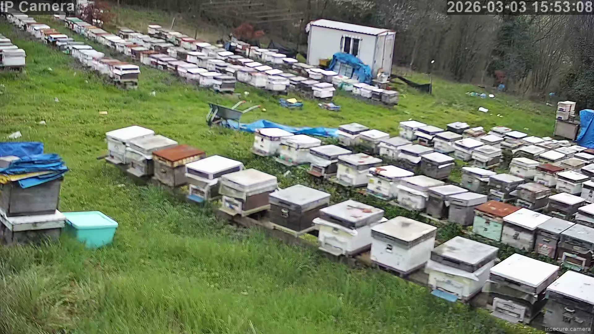 Capture from Mar 03, 2026 at 12:53 PM