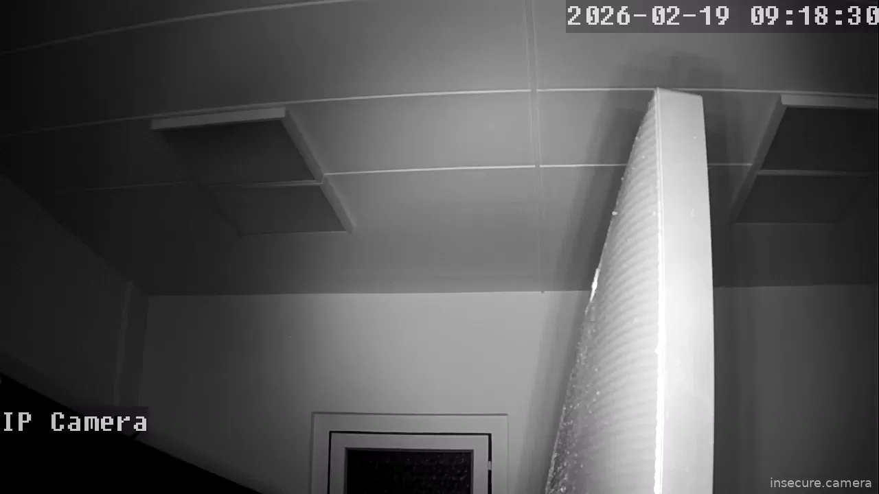 Capture from Feb 19, 2026 at 01:19 AM