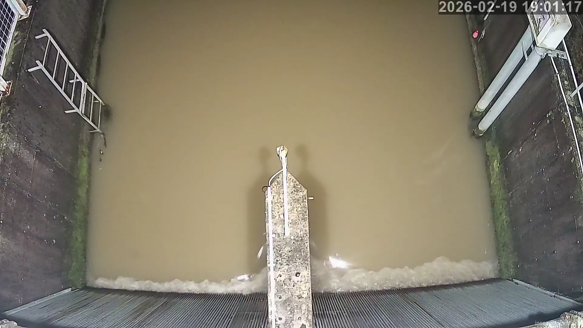 Capture from Feb 19, 2026 at 06:01 PM