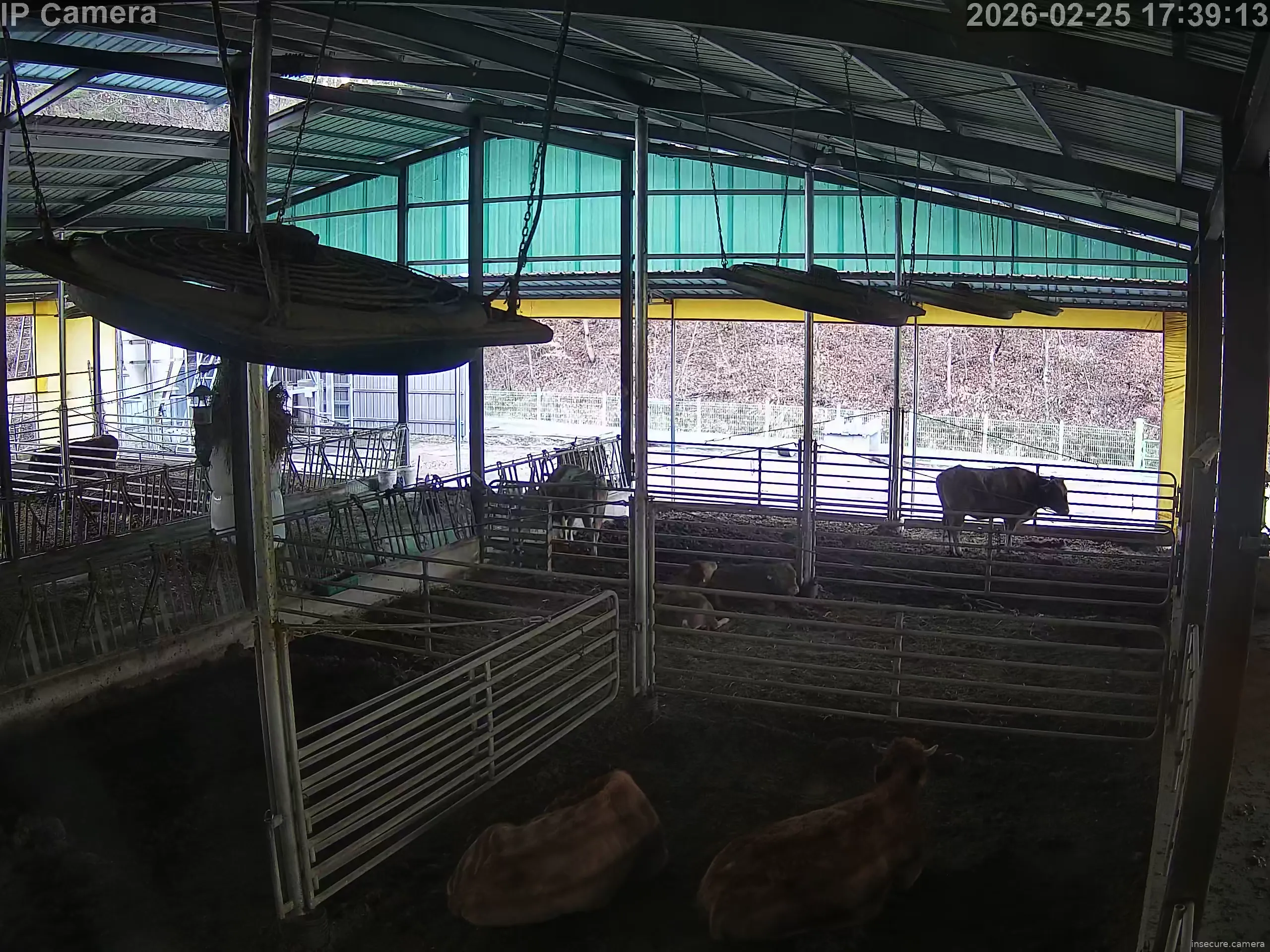 Capture from Feb 25, 2026 at 08:39 AM