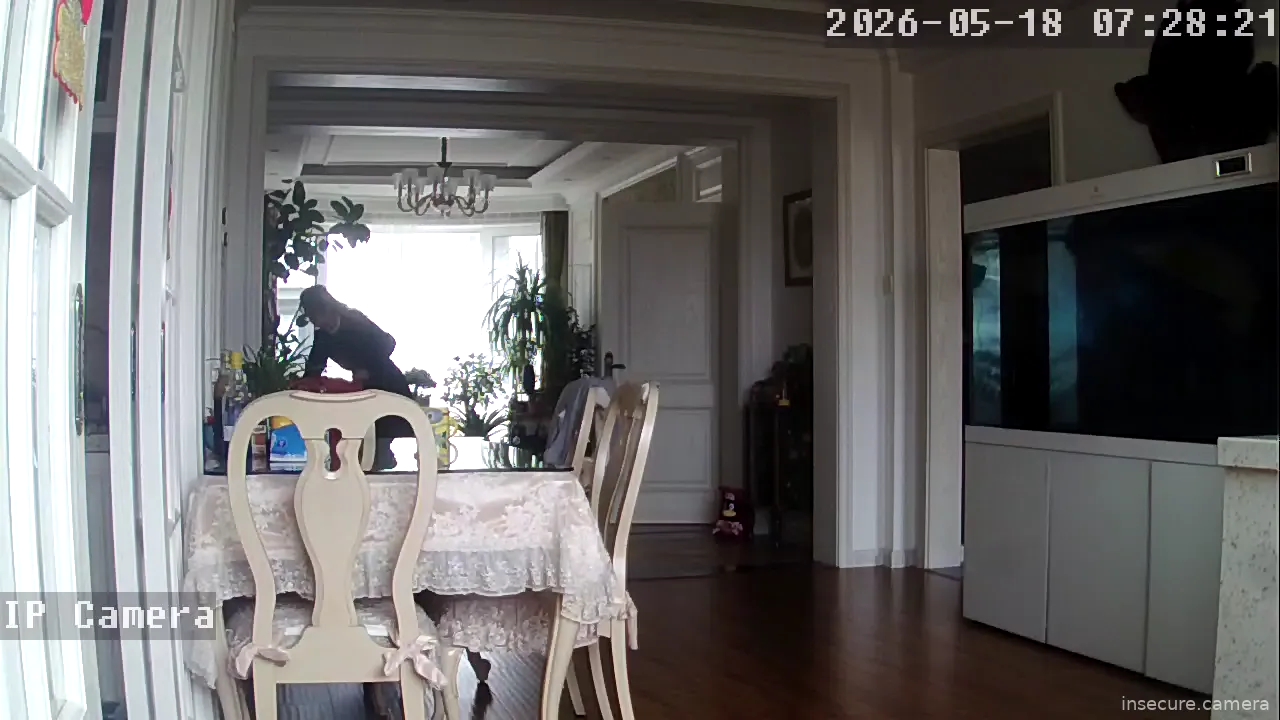 Camera in China