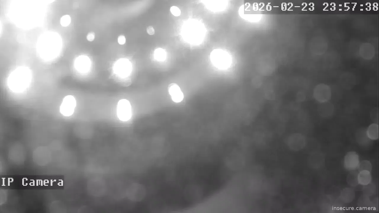 Capture from Feb 24, 2026 at 04:57 AM