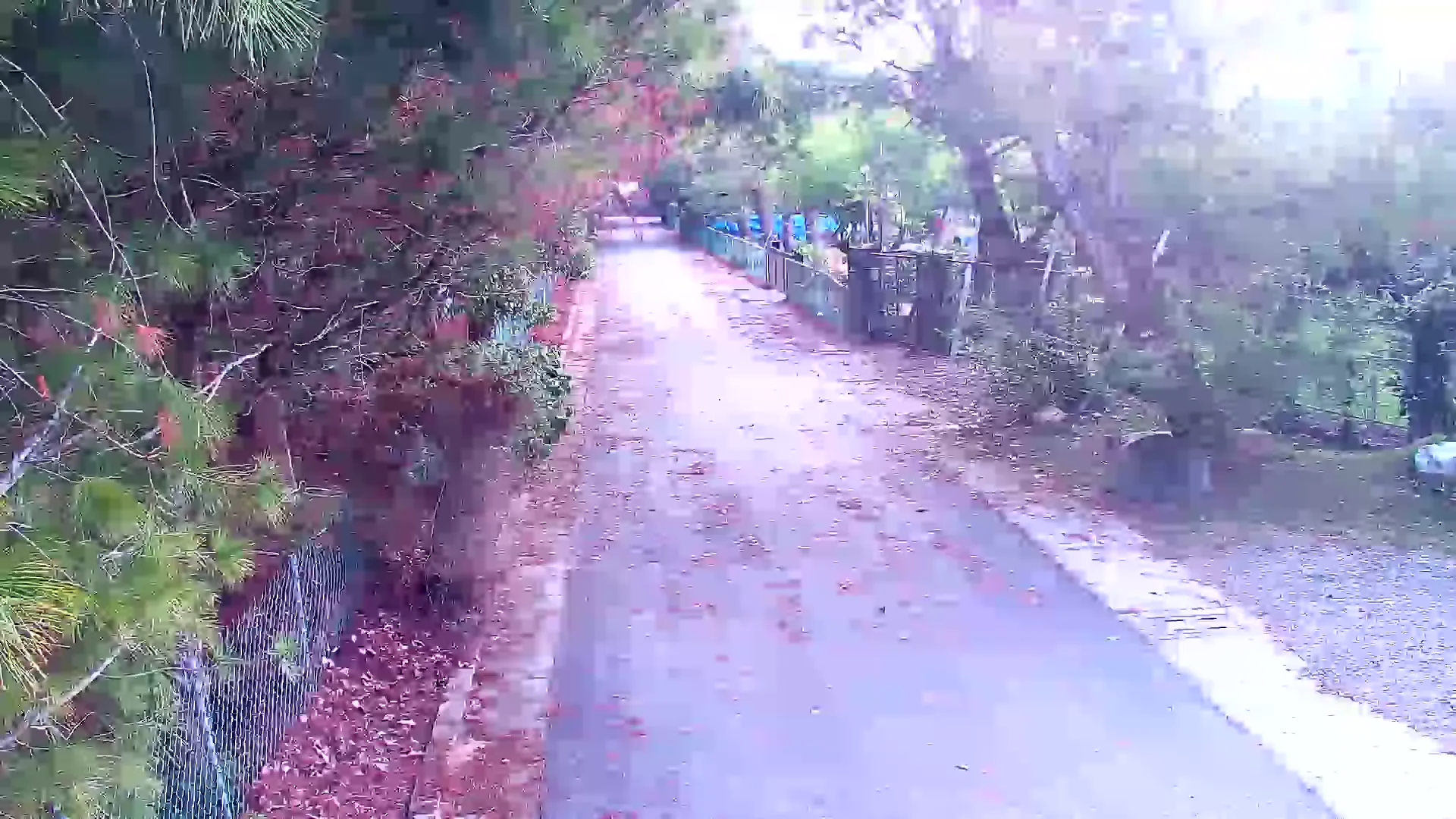 Capture from Feb 19, 2026 at 12:33 AM