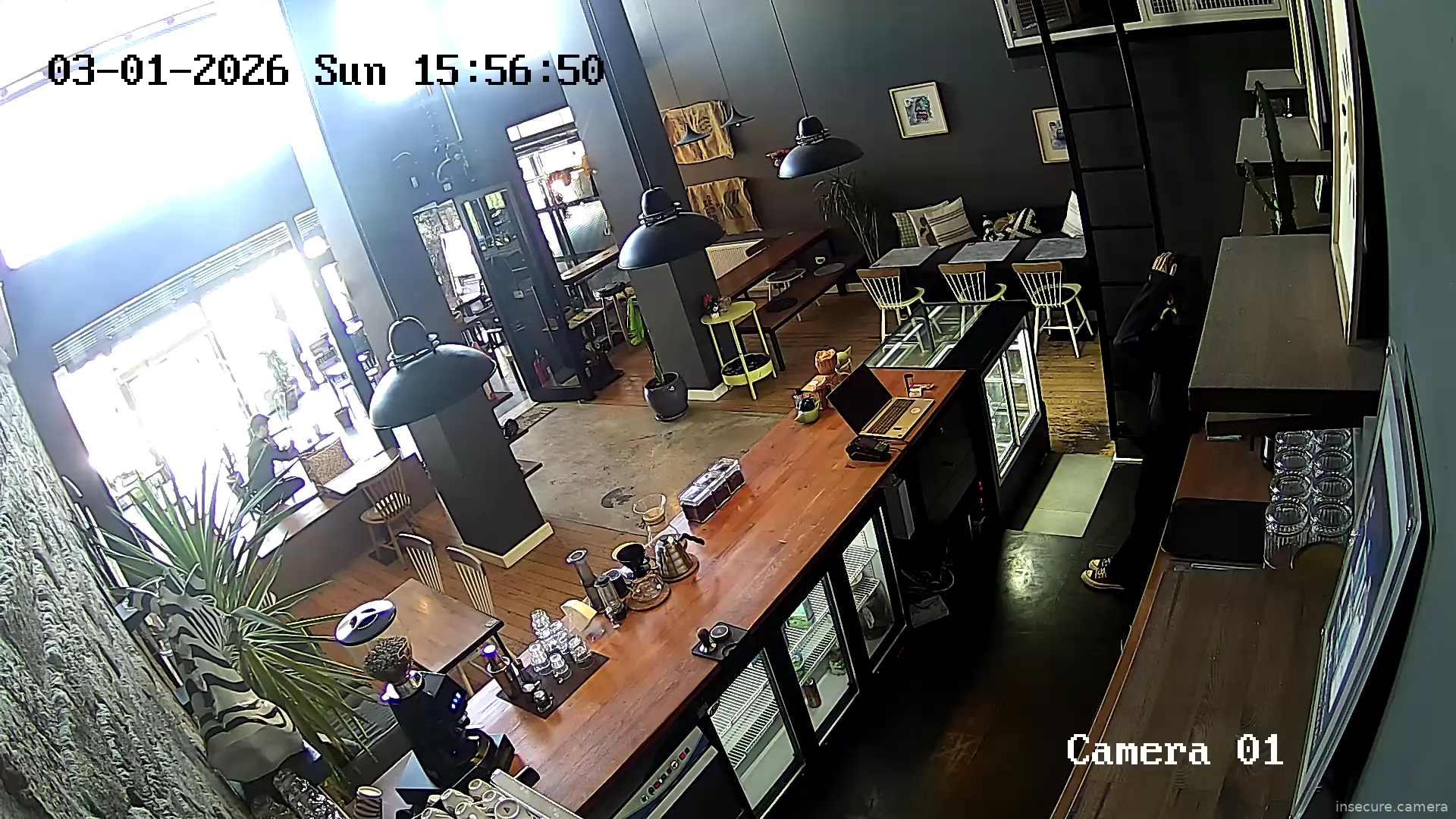 Capture from Mar 01, 2026 at 12:56 PM