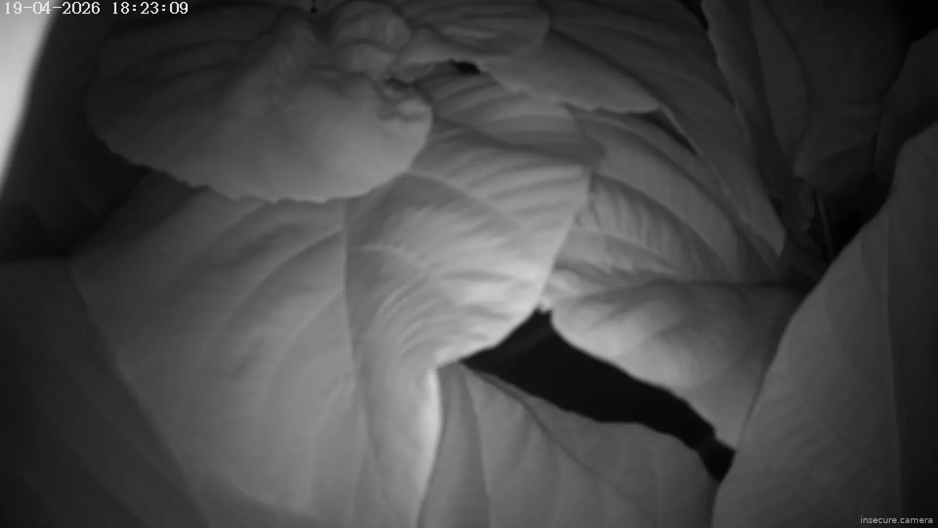 Capture from Apr 30, 2026 at 03:48 PM