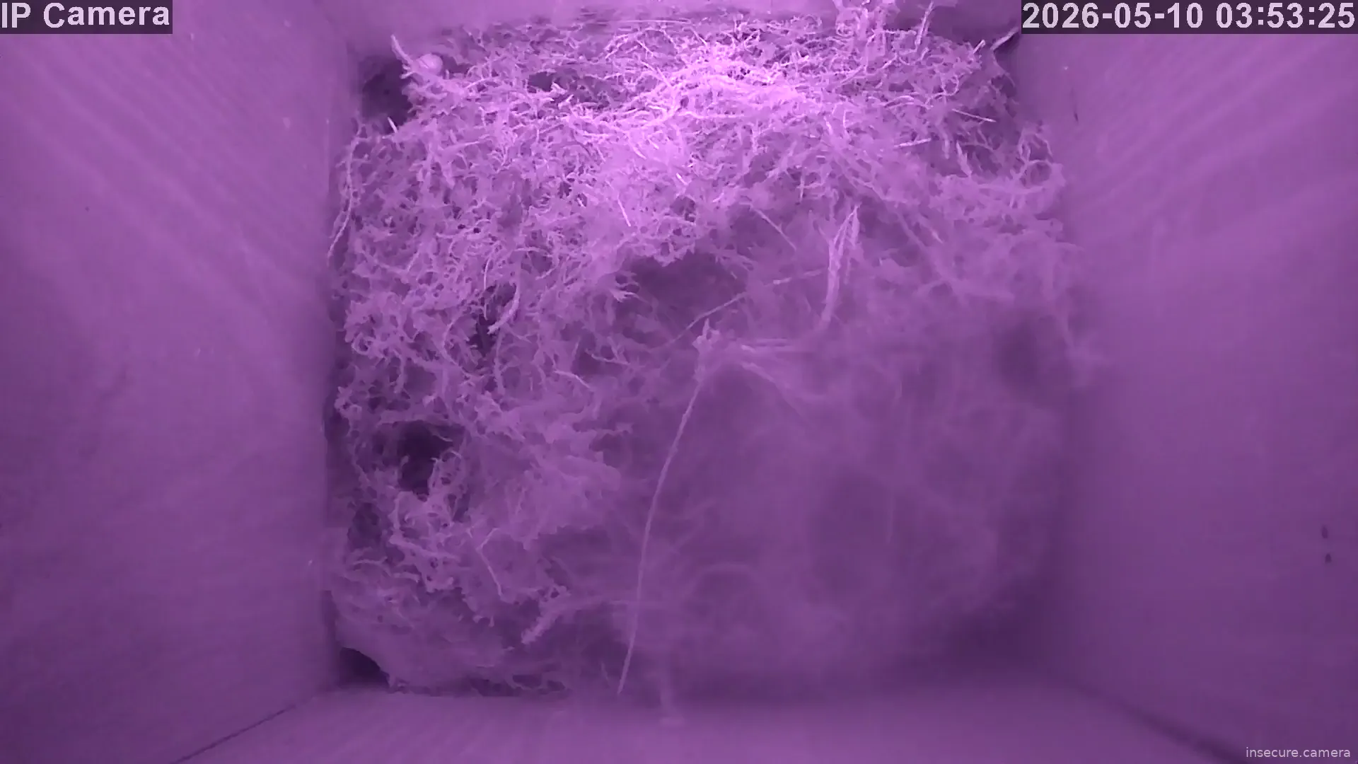 Capture from May 10, 2026 at 02:53 AM