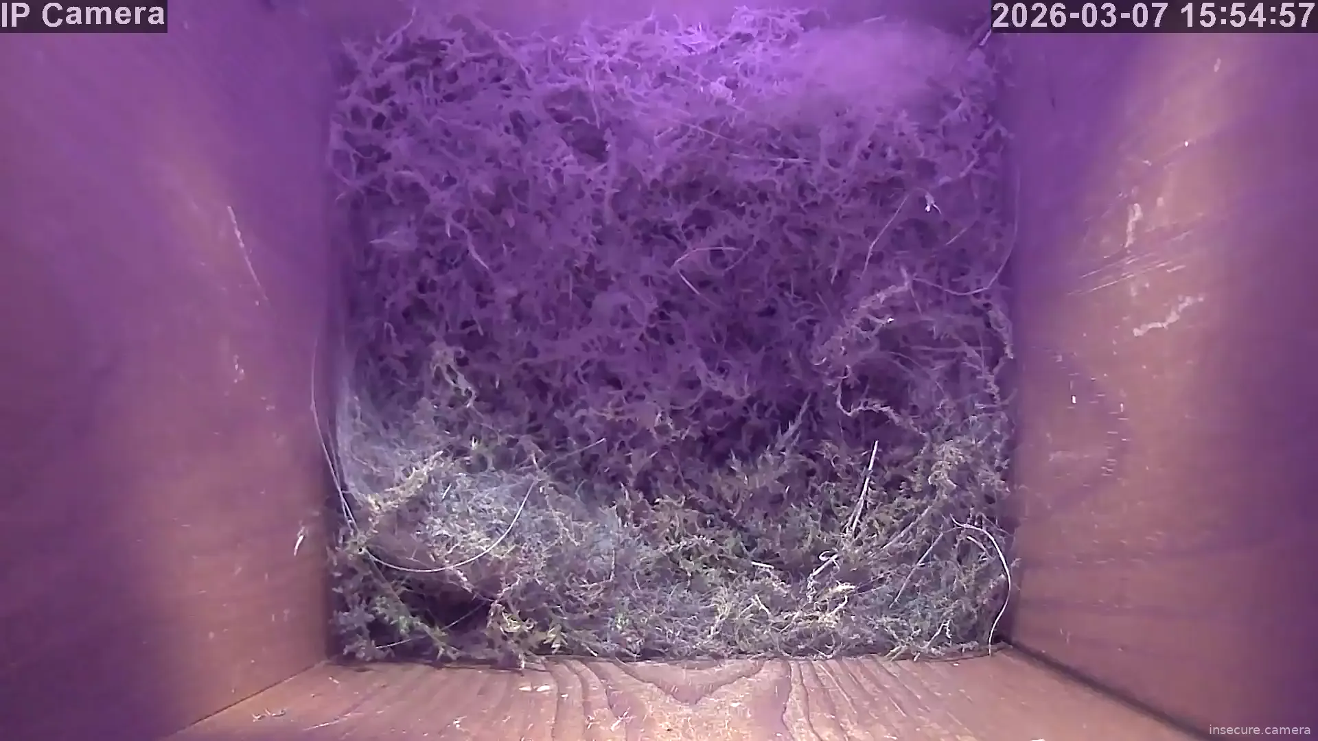 Camera in United Kingdom