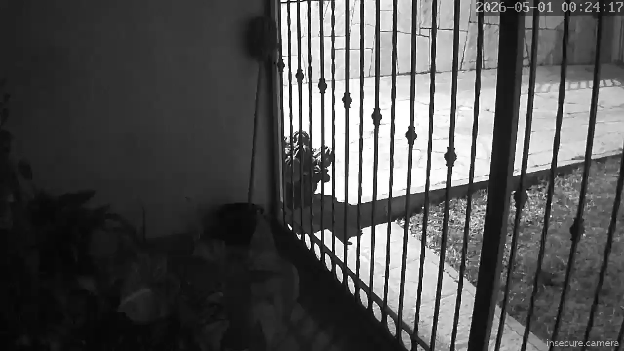 Camera in Argentina