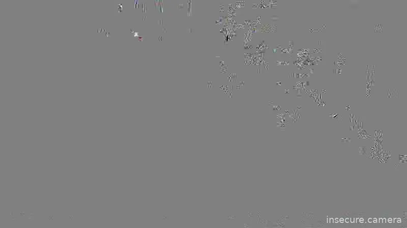 Capture from Feb 19, 2026 at 01:08 AM