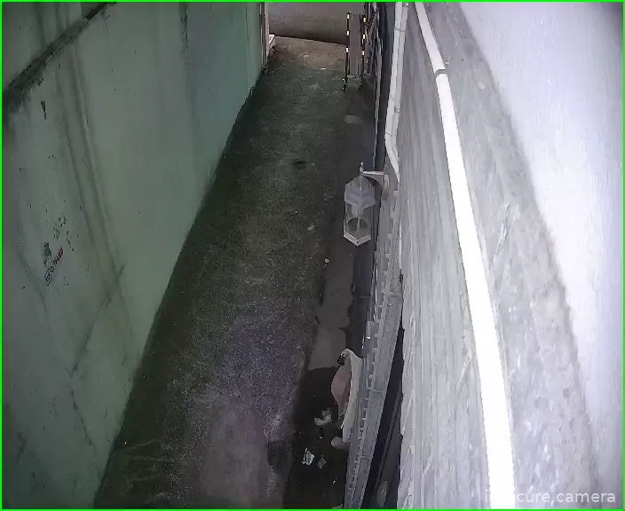 Capture from Feb 26, 2026 at 12:23 PM